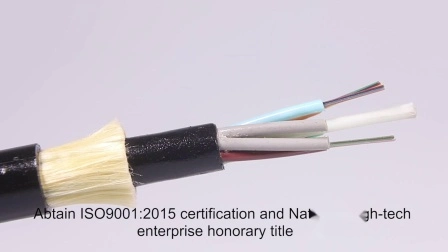 Indoor/Outdoor 1 2 4 Core G657A1/A2 GJYXFCH FRP/Stahldraht Single Mode FTTH Drop Flat Optic/Glasfaserkabel